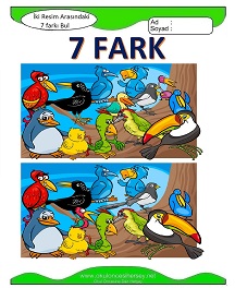 İki Resim Arasındaki Farkı Bul Etkinliği